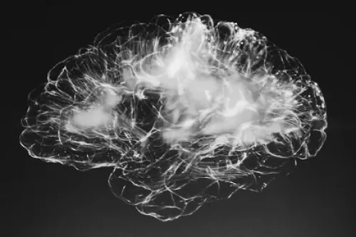 31 faits étonnants sur le cerveau : pour en prendre soin