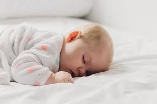 Le sommeil et le cerveau