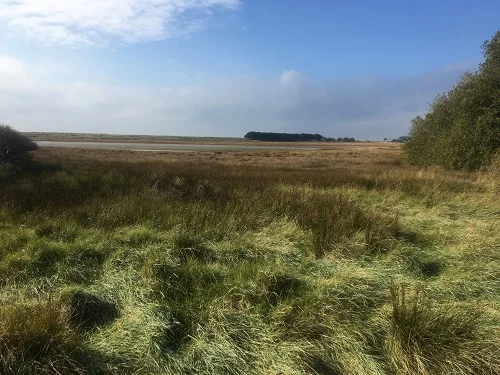 Le polder de Mousterlin