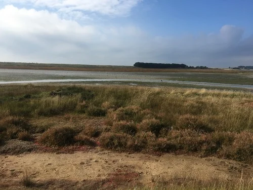 Le polder de Mousterlin et la mer blanche