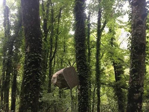 Une oeuvre d'art dans la forêt